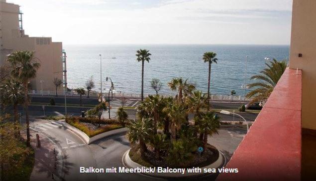 Albatros * Benalmádena