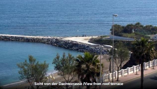 Albatros Appartement